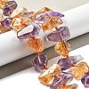 Natural Ametrine Beads Strands G-C179-C01-01-2