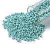 TOHO Round Seed Beads X-SEED-TR08-0413F-2
