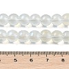 Glass Bead Strands GLAA-K068-01B-11-2