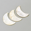 Freshwater Shell Pendants BSHE-S620-04-1