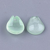 Transparent Spray Painted Glass Charms GLAA-S183-12D-2