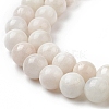 Natural Grey Moonstone Beads Strands G-I279-C01-10mm-A-3