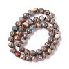 Natural Aqua Terra Jasper Beads Strands G-K317-A02-4