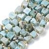 Natural Larimar Beads Strands G-G053-B24-03-2