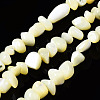 Natural Trochid Shell/Trochus Shell Bead Strands SSHEL-N034-78-C01-1