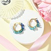 Natural Mixed Stone Chips Hoop Earrings EJEW-JE06022-01-2