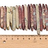 Natural Aqua Terra Jasper Beads Strands G-Z110-D01-5