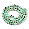 Assembled Synthetic Turquoise and Shell Beads Strands G-S212-4mm-04-2