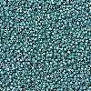 MIYUKI Delica Beads SEED-JP0008-DB1183-3