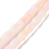 Glass Beads Strands GLAA-G083-01B-1