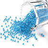 11/0 Grade A Transparent Glass Seed Beads X-SEED-N001-D-223-1
