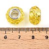 Handmade Glass European Beads GPDL25Y-10-3