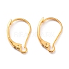 304 Stainless Steel Leverback Earring Findings X-STAS-K233-04G-1
