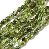 Natural Peridot Beads Strands G-P601-A01-01-2