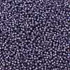 TOHO 11/0 Round Beads SEED-JPTR11-2124-2