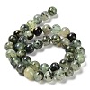 Natural Prehnite Beads Strands G-P322-48-10mm-01-3
