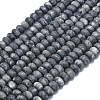 Natural Larvikite Beads Strands G-P575-A38-8x5mm-2