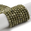 Natural Alashan Agate Beads Strands G-P530-B05-01-2
