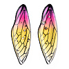 Transparent Epoxy Resin Big Pendants RESI-T046-01I-1