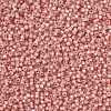 MIYUKI Round Rocailles Beads X-SEED-G008-RR0642-4