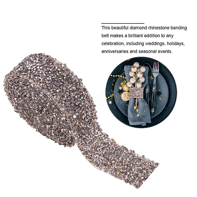 Glitter Resin Hotfix Rhinestone(Hot Melt Adhesive On The Back) OCOR-WH0052-01E-1