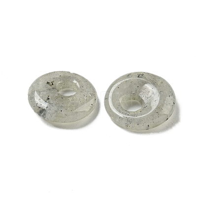 Natural Labradorite Donut/Pi Disc Charms G-G142-02Q-1