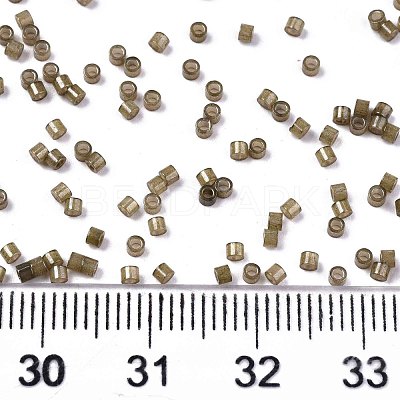 FGB 11/0 Grade A Glass Seed Beads SEED-S030-1148-1