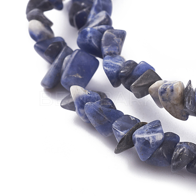 Natural Sodalite Beads Strands G-G782-31-1