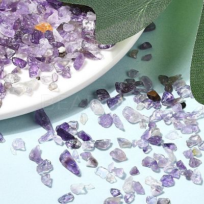 Natural Amethyst Chip Beads G-L453-06-1