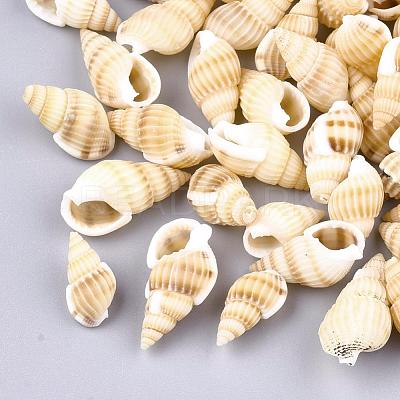 Natural Spiral Shell Beads SSHEL-R036-15-1