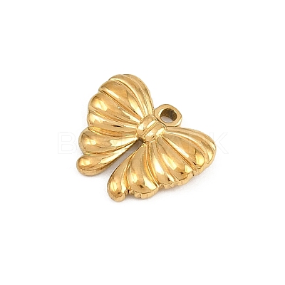 304 Stainless Steel Charms SA-CBA31B1-06G-1