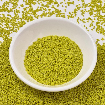 MIYUKI Delica Beads SEED-J020-DB2283-1