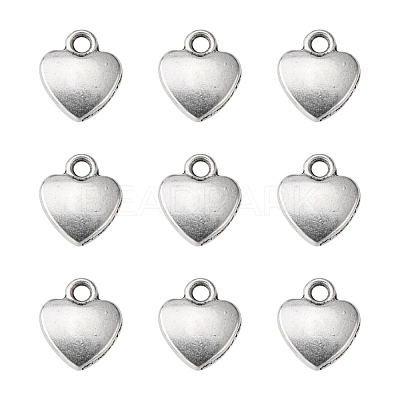 Tibetan Style Alloy Charms LF1170Y-1