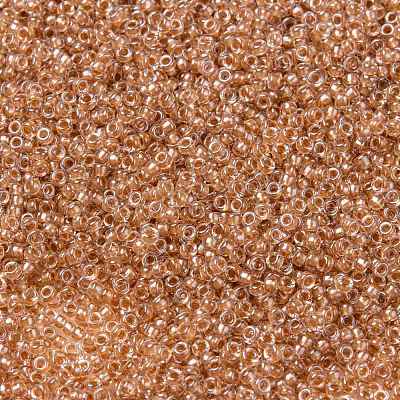MIYUKI Round Rocailles Beads X-SEED-G009-RR1129-1