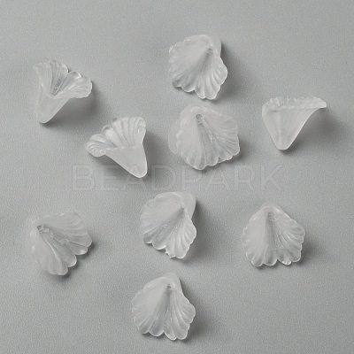 Transparent Acrylic Beads X-PL622-9-1