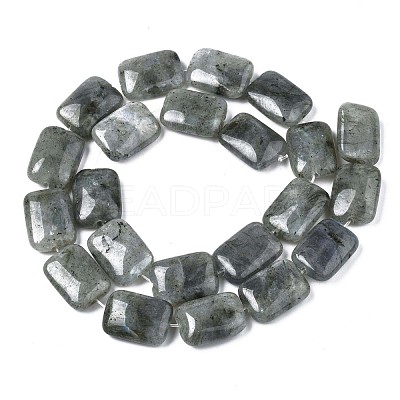Natural Labradorite Beads Strands G-T121-13-1