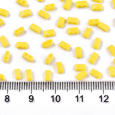 FGB 2-Hole Glass Seed Beads SEED-S031-M-SH42-1