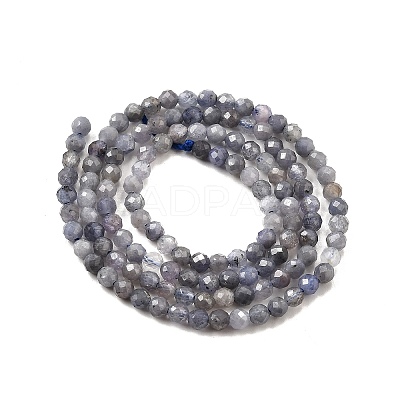 Natural Tanzanite Beads Strands LS-G-S387-A01-3mm-1