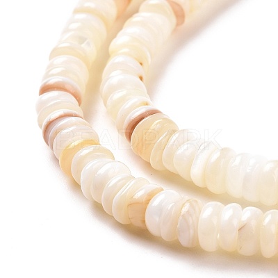 Shell Beads Strands SSHEL-E571-49I-1