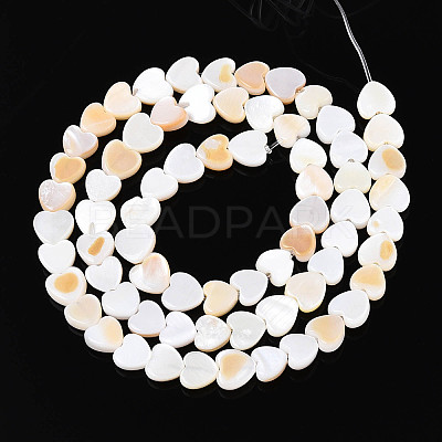 Natural Freshwater Shell Beads Strands SHEL-N026-67A-1