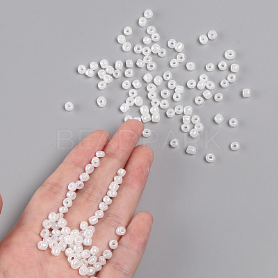 (Repacking Service Available) Glass Seed Beads SEED-C020-4mm-141-1