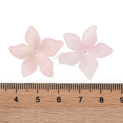 Transparent Acrylic Beads Caps OACR-B022-02B-1
