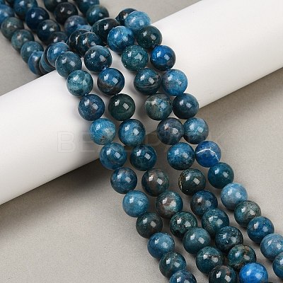Natural Apatite Beads Strands G-I254-08D-1