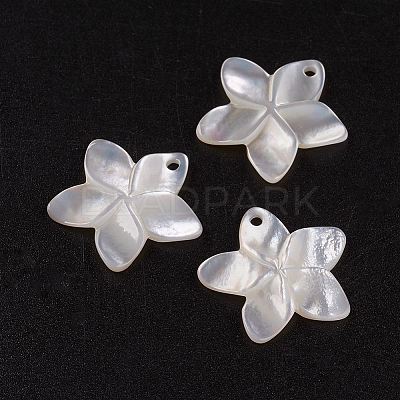 Natural White Shell Mother of Pearl Shell Pendants SSHEL-G014-60-1