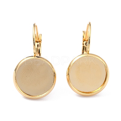304 Stainless Steel Leverback Earring Settings STAS-F191-03G-10mm-1
