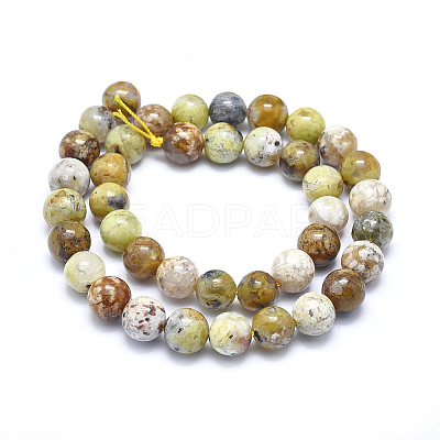 Natural Yellow Opal Beads Strands G-I213-18-10mm-1