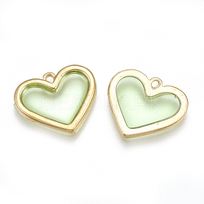 Epoxy Resin Pendants PALLOY-T056-11C-1