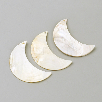 Freshwater Shell Pendants BSHE-S620-04-1