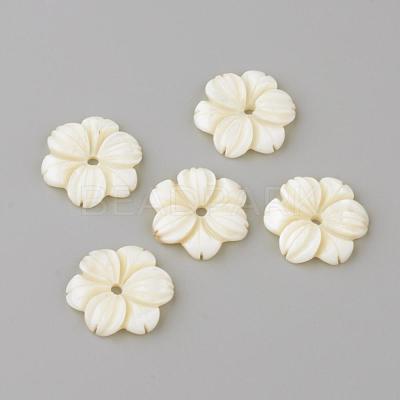 Natural Freshwater Shell Beads SHEL-Q008-53-1