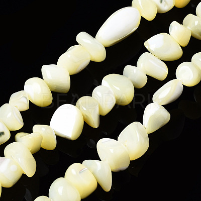 Natural Trochid Shell/Trochus Shell Bead Strands SSHEL-N034-78-C01-1